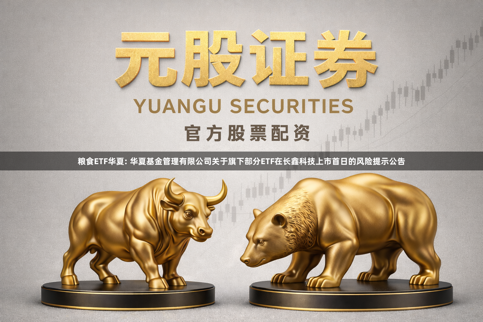 粮食ETF华夏: 华夏基金管理有限公司关于旗下部分ETF在长鑫科技上市首日的风险提示公告