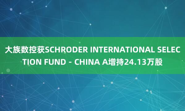 大族数控获SCHRODER INTERNATIONAL SELECTION FUND - CHINA A增持24.13万股