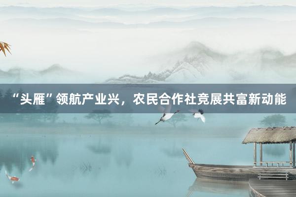 “头雁”领航产业兴，农民合作社竞展共富新动能