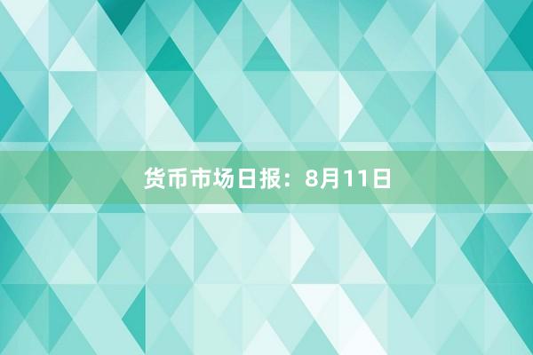 货币市场日报：8月11日