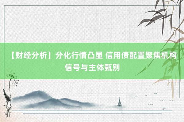 【财经分析】分化行情凸显 信用债配置聚焦机构信号与主体甄别