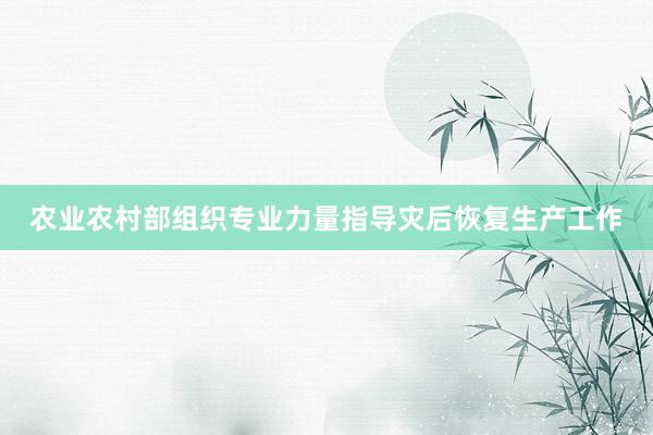 农业农村部组织专业力量指导灾后恢复生产工作