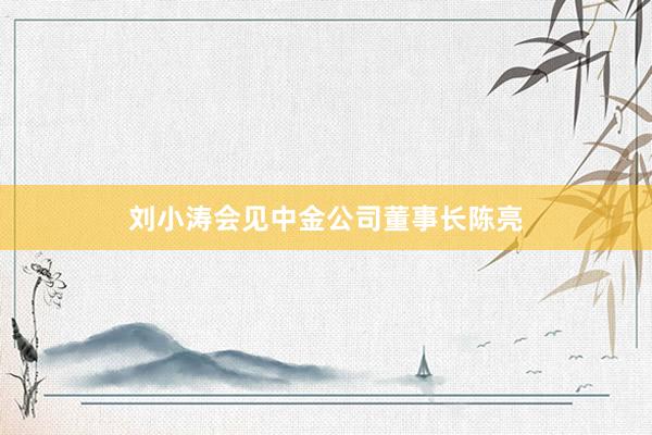 刘小涛会见中金公司董事长陈亮