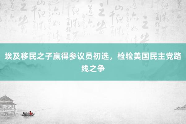 埃及移民之子赢得参议员初选，检验美国民主党路线之争
