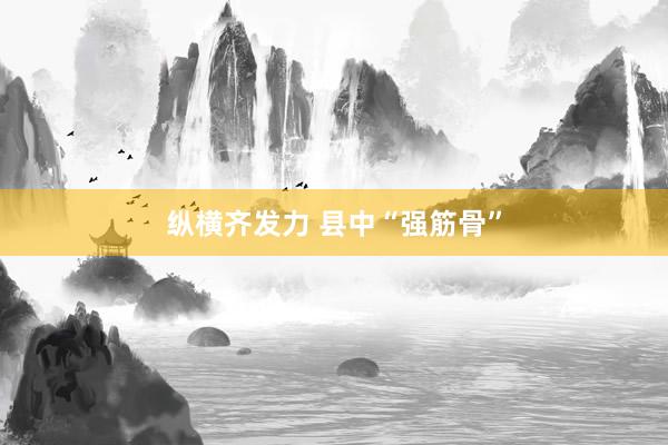 纵横齐发力 县中“强筋骨”