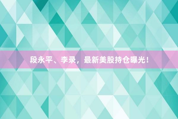段永平、李录，最新美股持仓曝光！