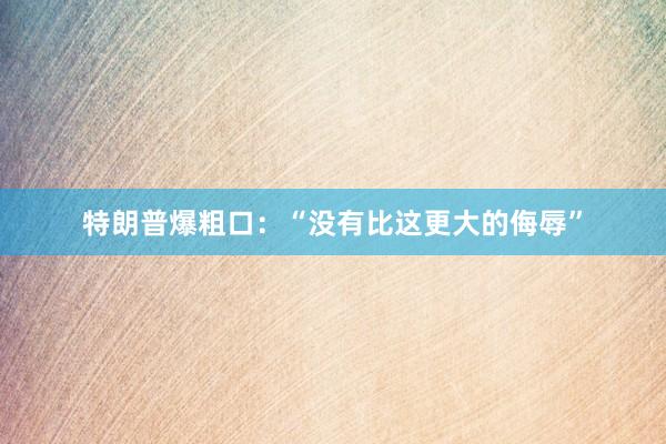 特朗普爆粗口：“没有比这更大的侮辱”