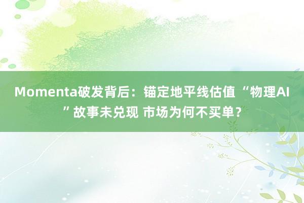 Momenta破发背后：锚定地平线估值 “物理AI”故事未兑现 市场为何不买单？