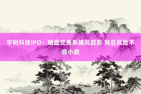宇树科技IPO：暗盘交易系捕风捉影 背后风险不容小觑