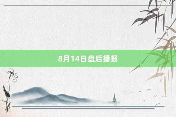 8月14日盘后播报