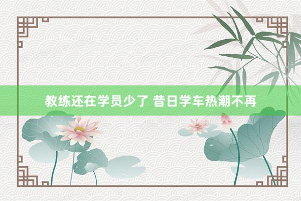 教练还在学员少了 昔日学车热潮不再