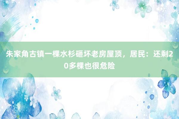 朱家角古镇一棵水杉砸坏老房屋顶，居民：还剩20多棵也很危险