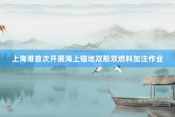 上海港首次开展海上锚地双船双燃料加注作业