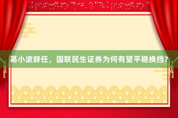葛小波辞任，国联民生证券为何有望平稳换挡？