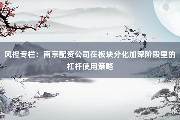 风控专栏：南京配资公司在板块分化加深阶段里的杠杆使用策略