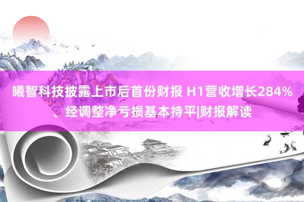 曦智科技披露上市后首份财报 H1营收增长284%、经调整净亏损基本持平|财报解读