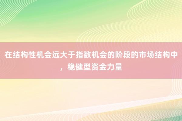 在结构性机会远大于指数机会的阶段的市场结构中，稳健型资金力量