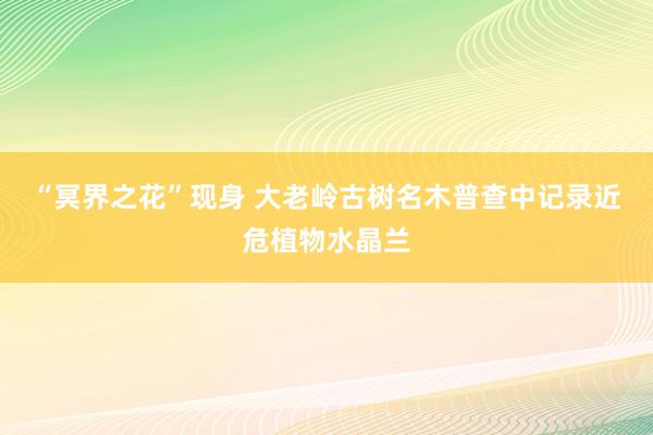 “冥界之花”现身 大老岭古树名木普查中记录近危植物水晶兰