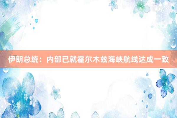 伊朗总统：内部已就霍尔木兹海峡航线达成一致