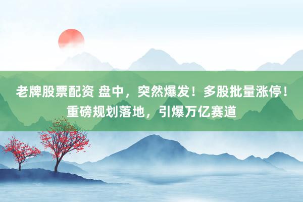 老牌股票配资 盘中，突然爆发！多股批量涨停！重磅规划落地，引爆万亿赛道
