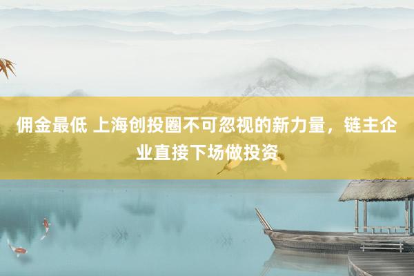 佣金最低 上海创投圈不可忽视的新力量，链主企业直接下场做投资