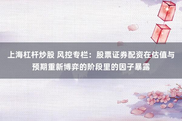 上海杠杆炒股 风控专栏：股票证券配资在估值与预期重新博弈的阶段里的因子暴露