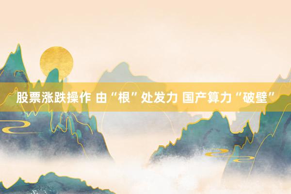 股票涨跌操作 由“根”处发力 国产算力“破壁”