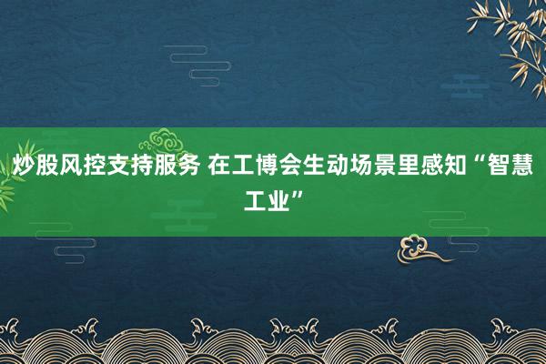 炒股风控支持服务 在工博会生动场景里感知“智慧工业”